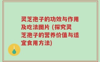 灵芝孢子的功效与作用及吃法图片 (探究灵芝孢子的营养价值与适宜食用方法)