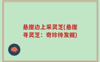 悬崖边上采灵芝(悬崖寻灵芝：奇珍待发掘)