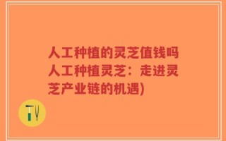 人工种植的灵芝值钱吗人工种植灵芝：走进灵芝产业链的机遇)
