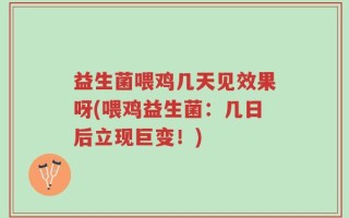 益生菌喂鸡几天见效果呀(喂鸡益生菌：几日后立现巨变！)