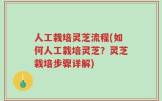 人工栽培灵芝流程(如何人工栽培灵芝？灵芝栽培步骤详解)