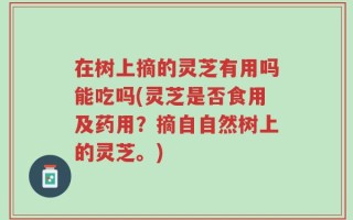 在树上摘的灵芝有用吗能吃吗(灵芝是否食用及药用？摘自自然树上的灵芝。)