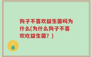 狗子不喜欢益生菌吗为什么(为什么狗子不喜欢吃益生菌？)