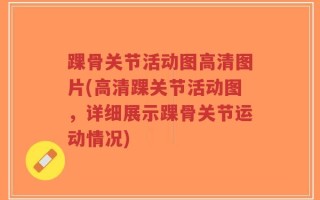 踝骨关节活动图高清图片(高清踝关节活动图，详细展示踝骨关节运动情况)