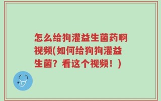 怎么给狗灌益生菌药啊视频(如何给狗狗灌益生菌？看这个视频！)