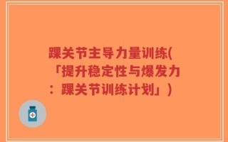 踝关节主导力量训练(「提升稳定性与爆发力：踝关节训练计划」)