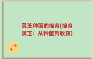 灵芝种菌的培育(培育灵芝：从种菌到收获)
