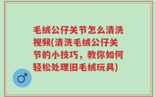 毛绒公仔关节怎么清洗视频(清洗毛绒公仔关节的小技巧，教你如何轻松处理旧毛绒玩具)