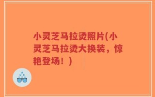 小灵芝马拉烫照片(小灵芝马拉烫大换装，惊艳登场！)