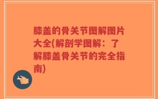 膝盖的骨关节图解图片大全(解剖学图解：了解膝盖骨关节的完全指南)