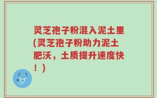 灵芝孢子粉混入泥土里(灵芝孢子粉助力泥土肥沃，土质提升速度快！)