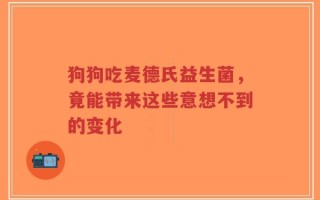 狗狗吃麦德氏益生菌，竟能带来这些意想不到的变化