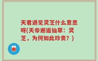 天君遇见灵芝什么意思呀(天帝邂逅仙草：灵芝，为何如此珍贵？)