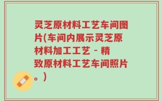 灵芝原材料工艺车间图片(车间内展示灵芝原材料加工工艺 - 精致原材料工艺车间照片。)
