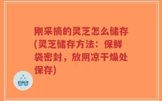 刚采摘的灵芝怎么储存(灵芝储存方法：保鲜袋密封，放阴凉干燥处保存)