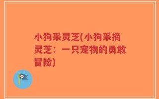 小狗采灵芝(小狗采摘灵芝：一只宠物的勇敢冒险)