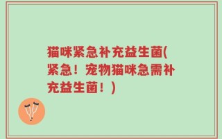 猫咪紧急补充益生菌(紧急！宠物猫咪急需补充益生菌！)