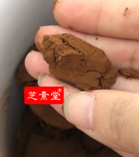  灵芝孢子粉破壁和不破壁的区别！-第1张图片-超越