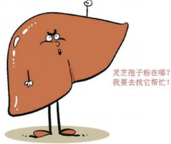 灵芝孢子粉增加免疫力吗？灵芝孢子粉能提高免疫力吗？-第3张图片-超越