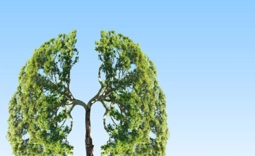 肺癌吃灵芝孢子粉能治好吗？-第3张图片-超越