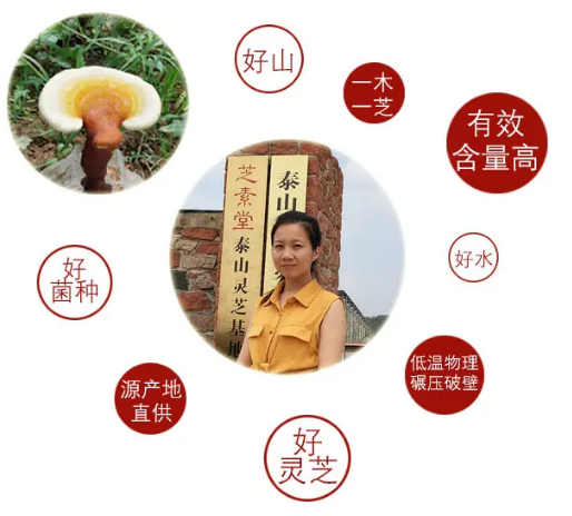 赤灵芝孢子粉的价位高吗？-第2张图片-超越