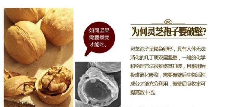 中老年人灵芝孢子粉怎么吃最好？服用灵芝孢子粉会对身体带来哪些变化？-第2张图片-超越