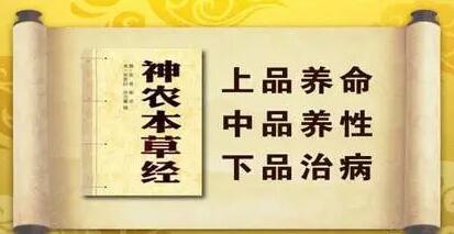 吃了灵芝破壁孢子粉头晕、腹泻正常吗-第1张图片-超越
