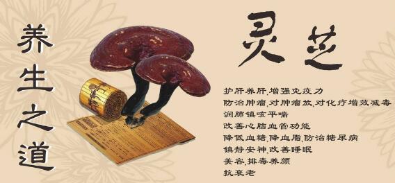 吃了灵芝破壁孢子粉头晕、腹泻正常吗-第2张图片-超越