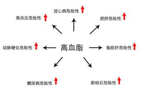 芝素堂灵芝破壁孢子粉的功效与作用之 辅助治疗高血压-第1张图片-超越