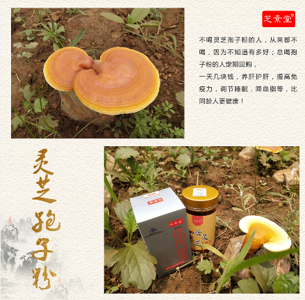 芝素堂灵芝破壁孢子粉的功效与作用之 辅助治疗高血压-第4张图片-超越