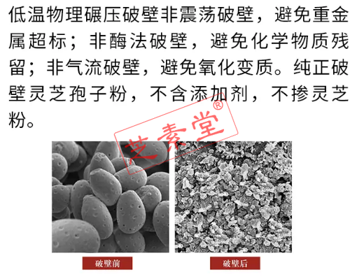 什么是高品质的灵芝破壁孢子粉?-第2张图片-超越