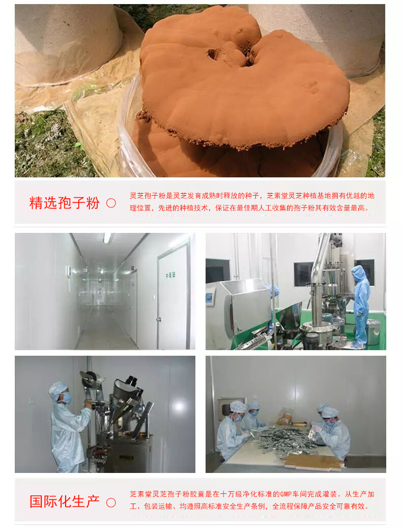 双十一来了，购买灵芝破壁孢子粉的标准是什么？-第2张图片-超越