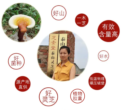 中年人为什么一定要吃灵芝破壁孢子粉?-第4张图片-超越