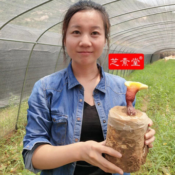 女人长期吃灵芝孢子粉能够保持年轻态吗?-第4张图片-超越 女人长期吃灵芝孢子粉能够保持年轻态吗?-第4张图片-超越