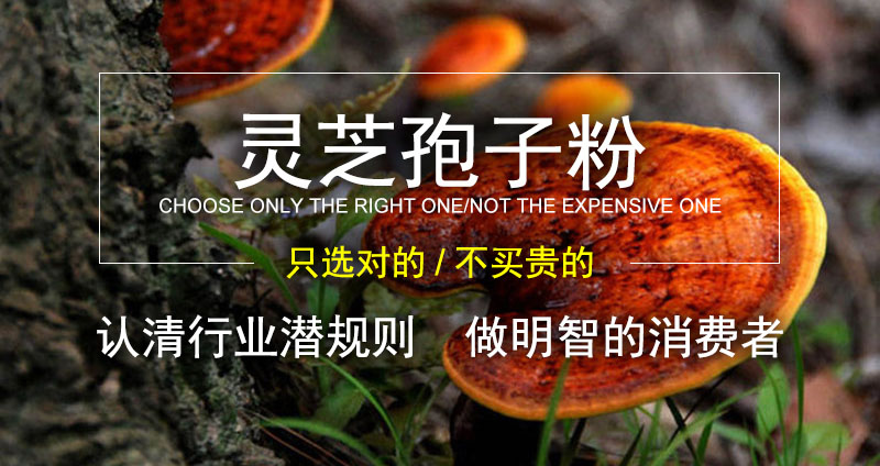 破壁灵芝孢子粉的价格在什么区间的合适?-第1张图片-超越