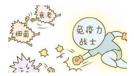 提升免疫力是灵芝孢子粉作用之一，它对人体带来哪些影响？-第1张图片-超越
