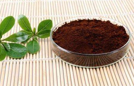 灵芝孢子粉能抗癌防癌吗?原理是什么?-第1张图片-超越 灵芝孢子粉能抗癌防癌吗?原理是什么?-第1张图片-超越