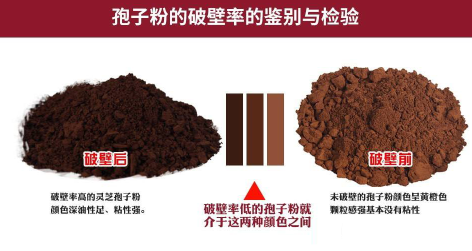 灵芝孢子粉颜色有区别吗?颜色深浅影响好坏吗?-第1张图片-超越 灵芝孢子粉颜色有区别吗?颜色深浅影响好坏吗?-第1张图片-超越