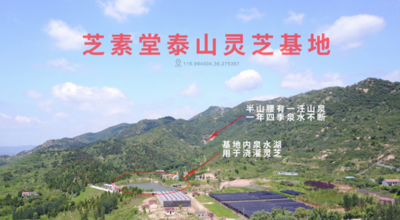 血糖高有哪些症状?如何才能控制血糖？-第1张图片-超越