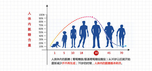 氨糖软骨素有用吗？对关节问题有作用吗？-第1张图片-超越