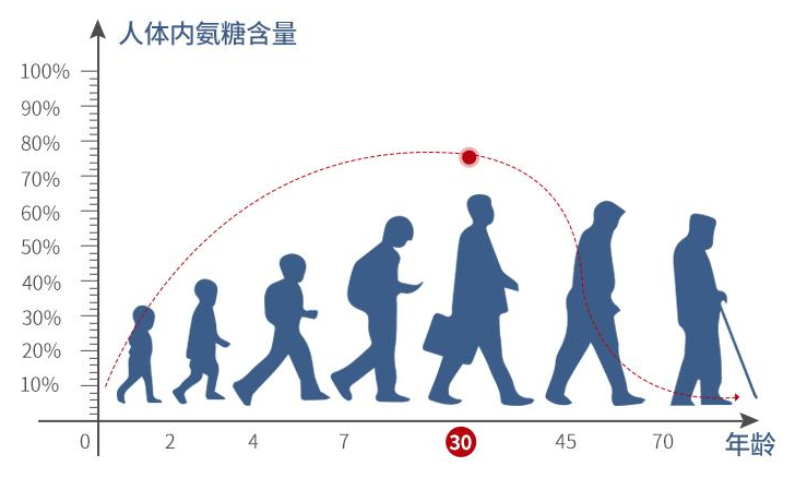 氨糖的作用对关节问题有用吗？-第1张图片-超越