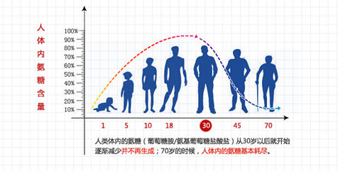 氨糖软骨素应该怎么选?主要看什么?-第1张图片-超越 氨糖软骨素应该怎么选?主要看什么?-第1张图片-超越