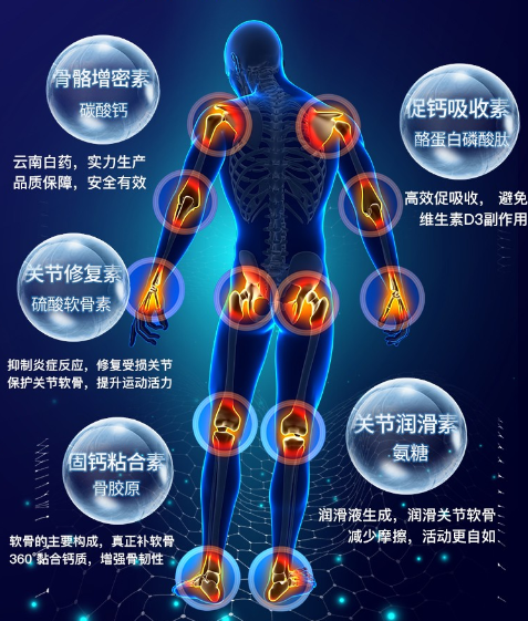 氨糖对关节炎有用吗?其他成分能够起到哪些作用?-第1张图片-超越 氨糖对关节炎有用吗?其他成分能够起到哪些作用?-第1张图片-超越