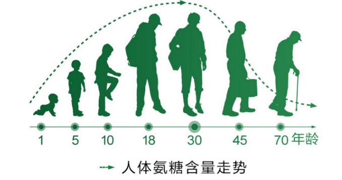 吃氨糖要注意什么?氨糖应该怎么选?-第1张图片-超越 吃氨糖要注意什么?氨糖应该怎么选?-第1张图片-超越