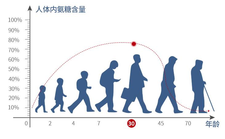 氨糖的作用适合哪些人吃？氨糖能够起到什么作用？-第1张图片-超越