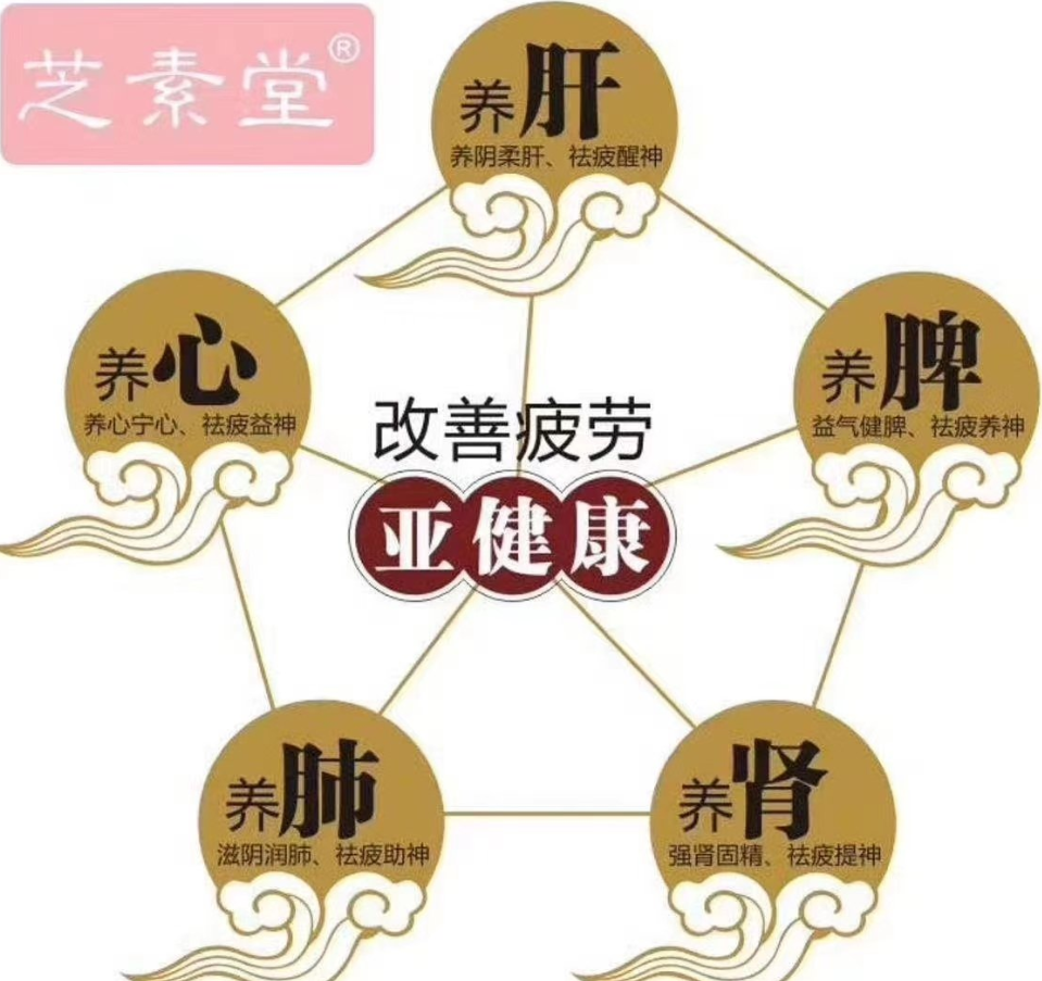 灵芝孢子粉能提高免疫力吗?和蛋白粉作用有什么区别?-第1张图片-超越 灵芝孢子粉能提高免疫力吗?和蛋白粉作用有什么区别?-第1张图片-超越