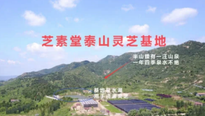 破壁灵芝孢子粉保质期有多久,这样做让你的破壁灵芝孢子粉保质期更长 -第1张图片-超越 破壁灵芝孢子粉保质期有多久,这样做让你的破壁灵芝孢子粉保质期更长 -第1张图片-超越