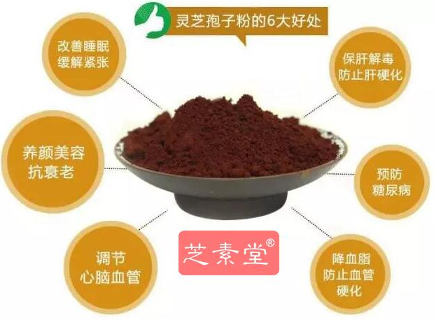 灵芝孢子粉治什么病最好,这个问题的答案你知道吗?-第1张图片-超越 灵芝孢子粉治什么病最好,这个问题的答案你知道吗?-第1张图片-超越