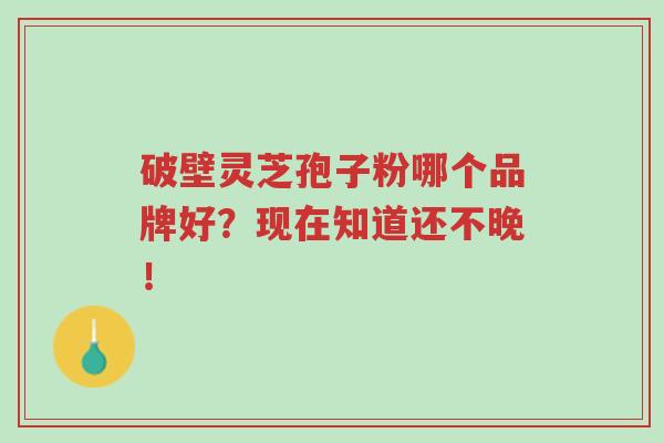 破壁灵芝孢子粉哪个品牌好?现在知道还不晚!-第1张图片-超越 破壁灵芝孢子粉哪个品牌好?现在知道还不晚!-第1张图片-超越