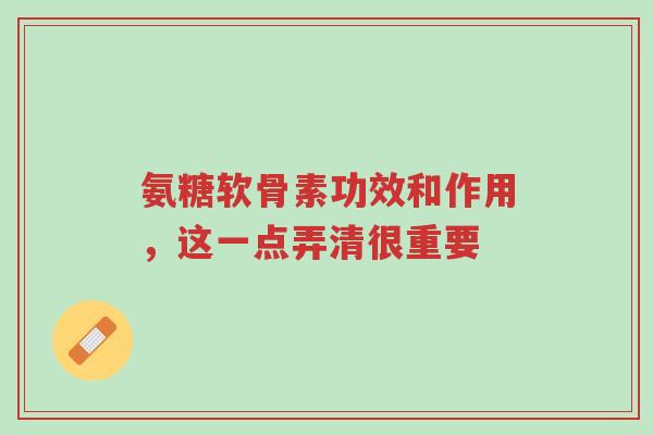 氨糖软骨素功效和作用，这一点弄清很重要-第1张图片-超越